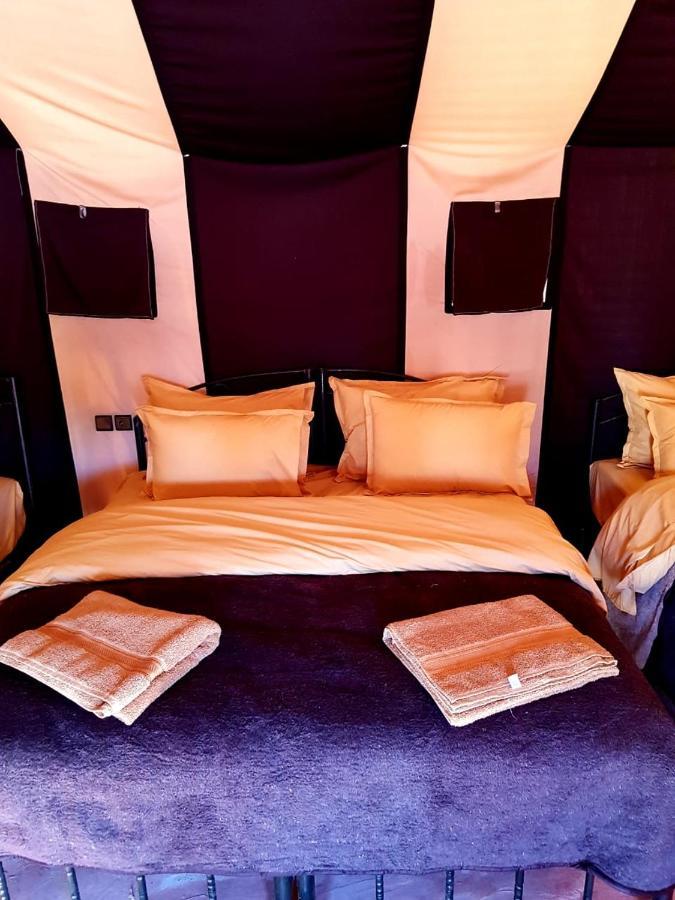 Bedouin Desert Camp Merzouga Exteriör bild