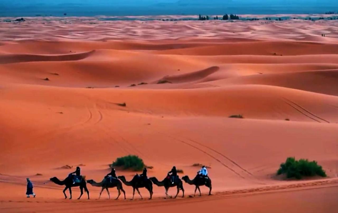 Bedouin Desert Camp Merzouga Exteriör bild