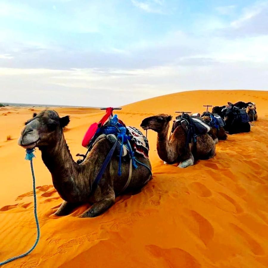 Bedouin Desert Camp Merzouga Exteriör bild